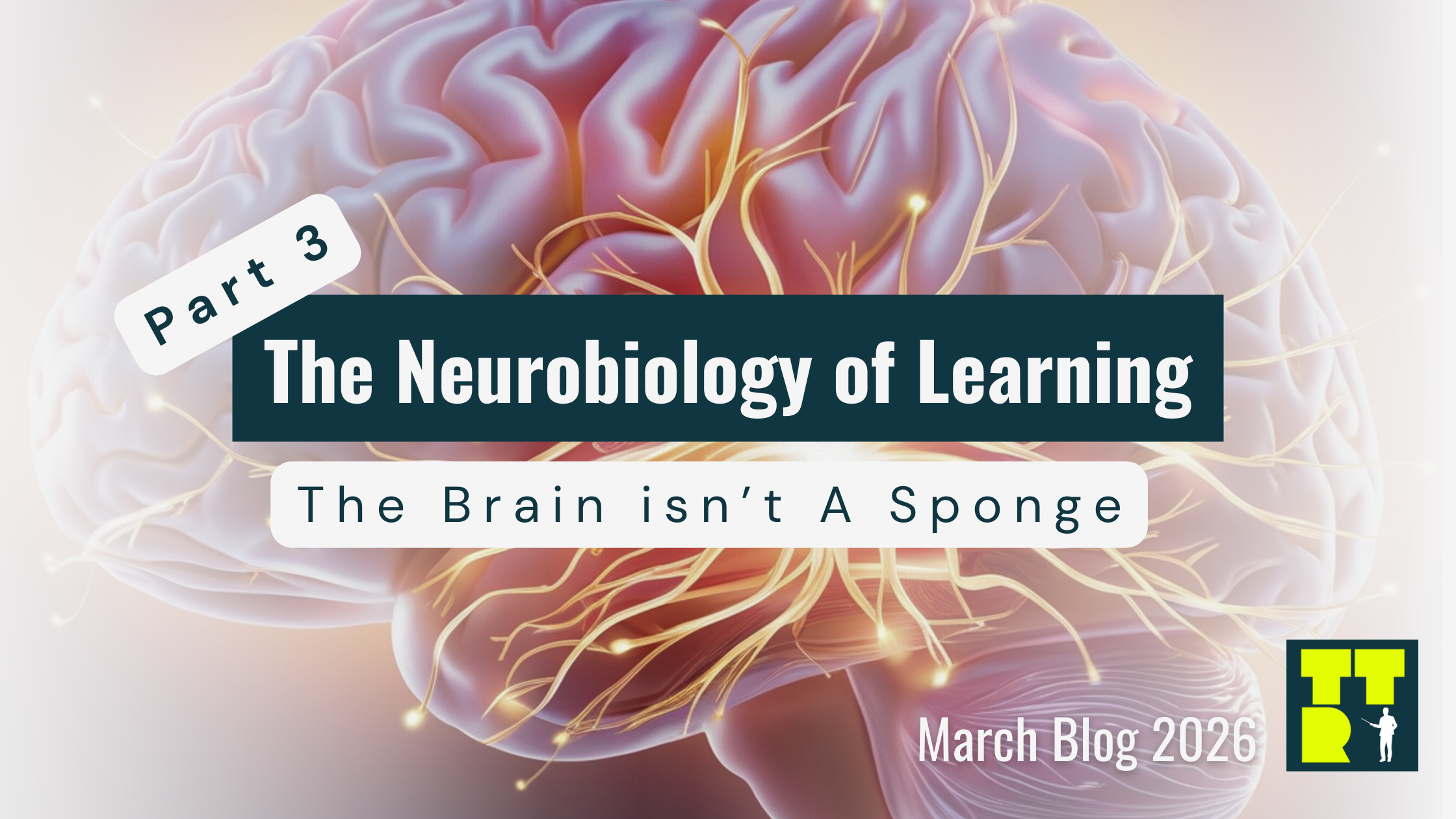 The Neurobiology of Learning Series Part 3: Repetition & The Brain