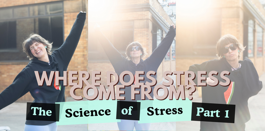 The Science of Stress Part 1: Where Does Stress Come From?