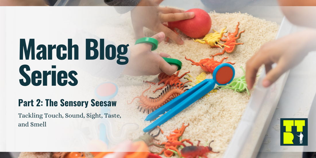 Part 2: The Sensory Seesaw – Tackling Touch, Sound, Sight, Taste, and Smell