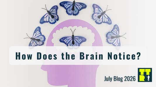 👀How Does The Brain Notice?