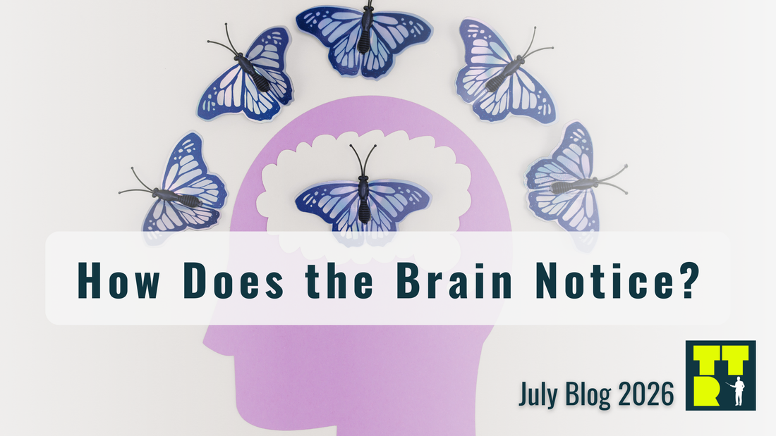👀 How Does The Brain Notice?