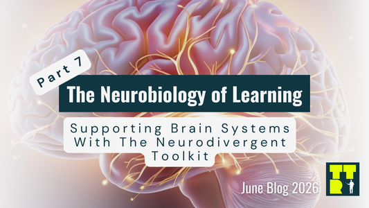 🧠 Part 7: Supporting Brain Systems With The Neurodivergent Toolkit
