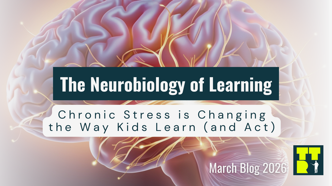🧠 The Neurobiology of Learning: Chronic Stress Is Changing How Kids Learn (And Act)
