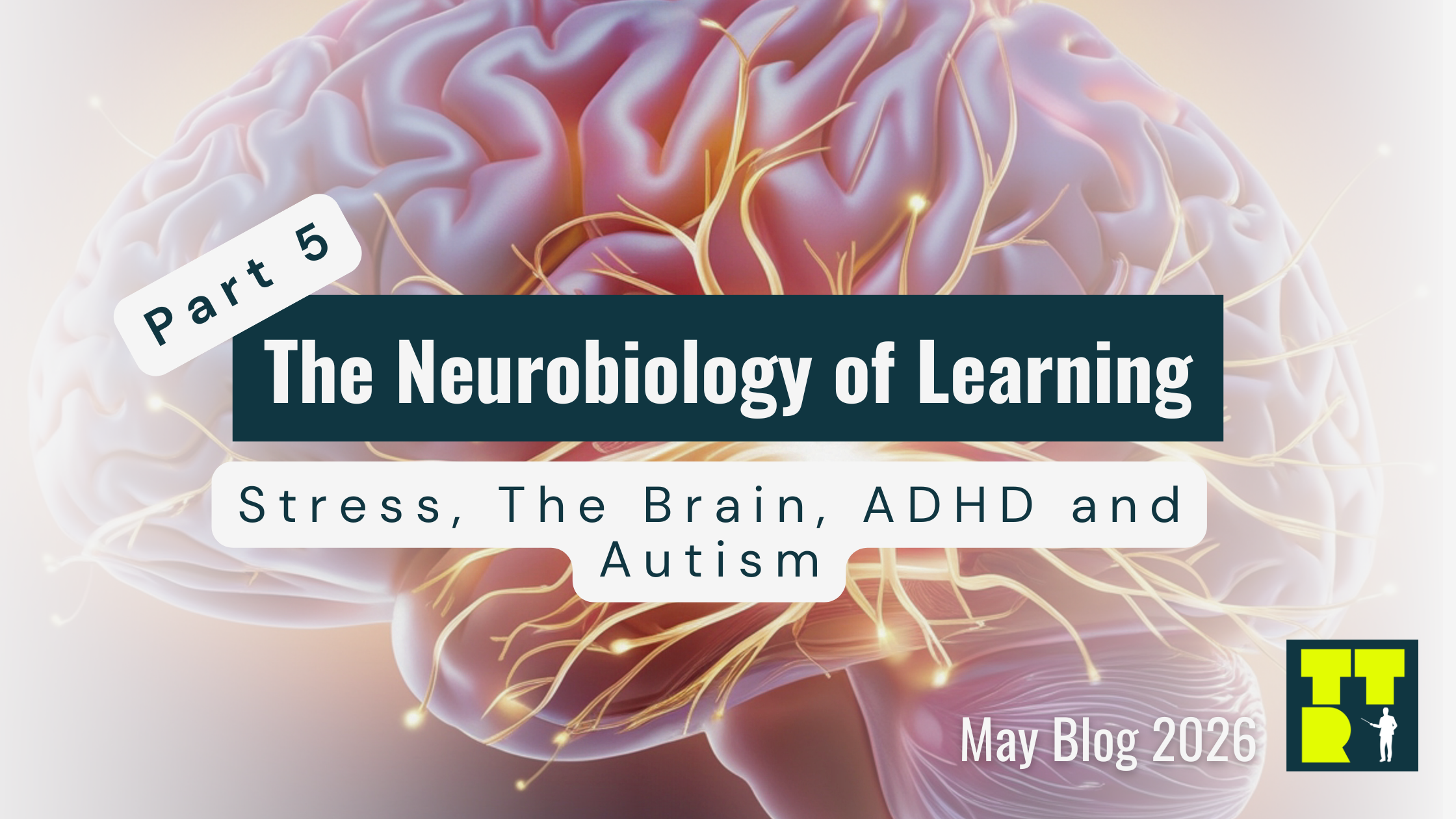 🧠 Part 5: Stress, The Brain, ADHD and Autism – Teaching To A Riot