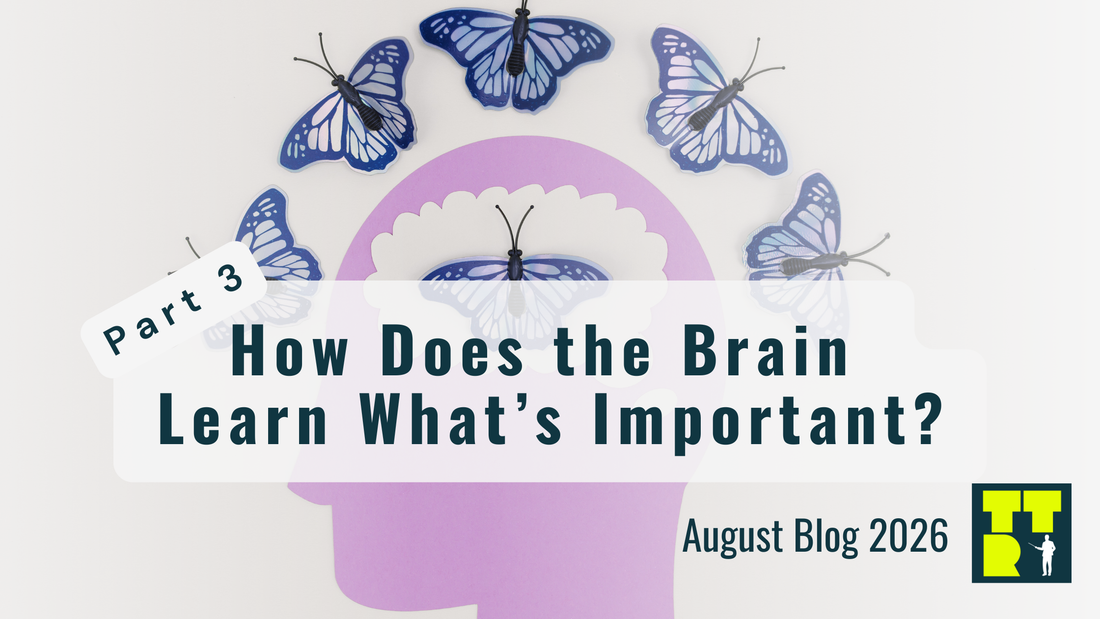 👀 Part 3: How Does The Brain Learn What's Important?