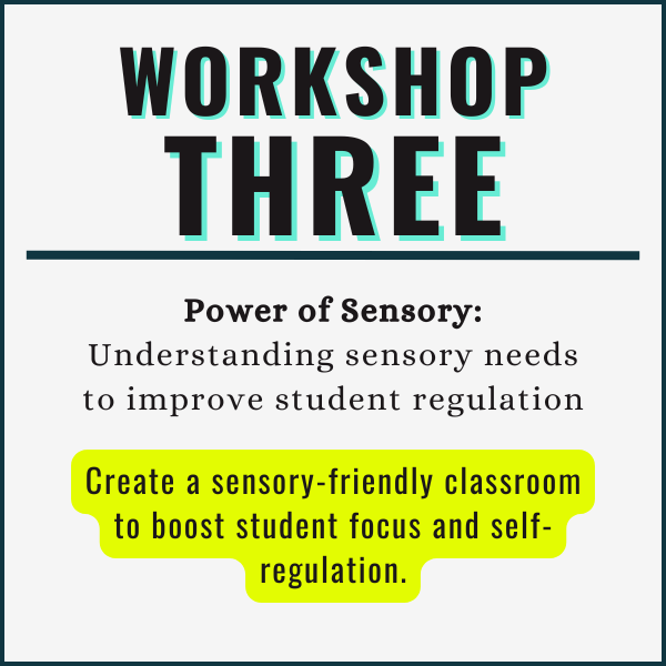 MTN workshop series: Power of Sensory: Understanding sensory needs to improve student regulation: Create a sensory-friendly classroom to boost student focus and self-regulation.