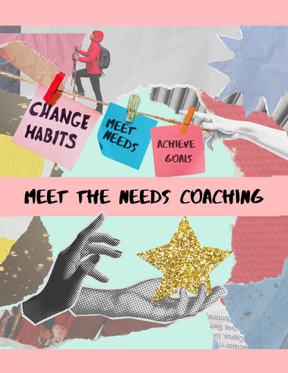 Meet the Needs Coaching - Teaching To A Riot