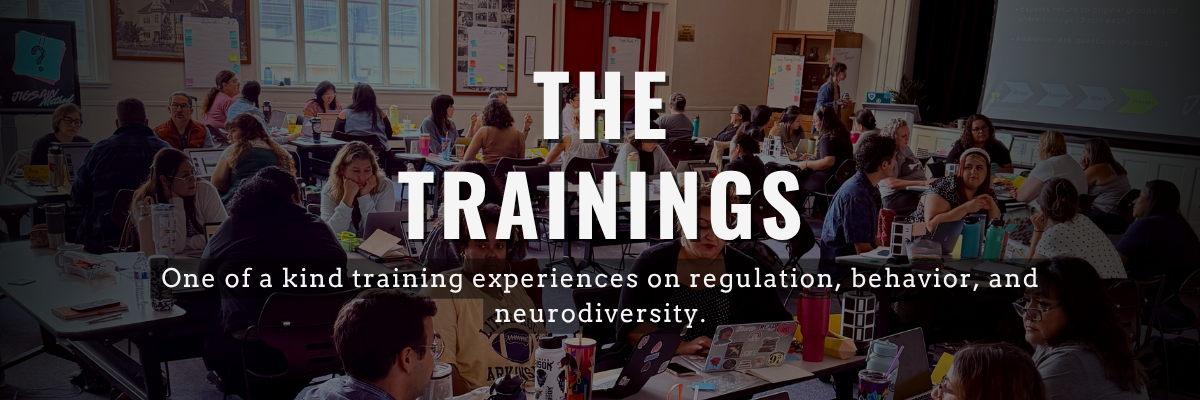 Teachers and educators sit around tables working on an exercise in our teacher trainings on regulation, behavior, and neurodiversity.